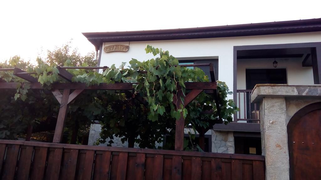 Guesthouse Orlovo Dış mekan fotoğraf